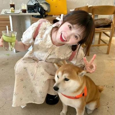 傻傻爱你，傻傻爱我