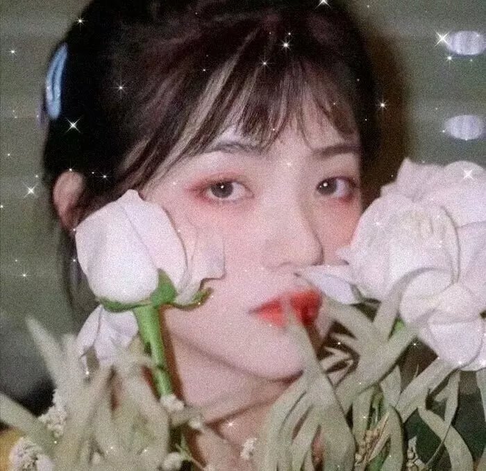 火鸟的沼泽
